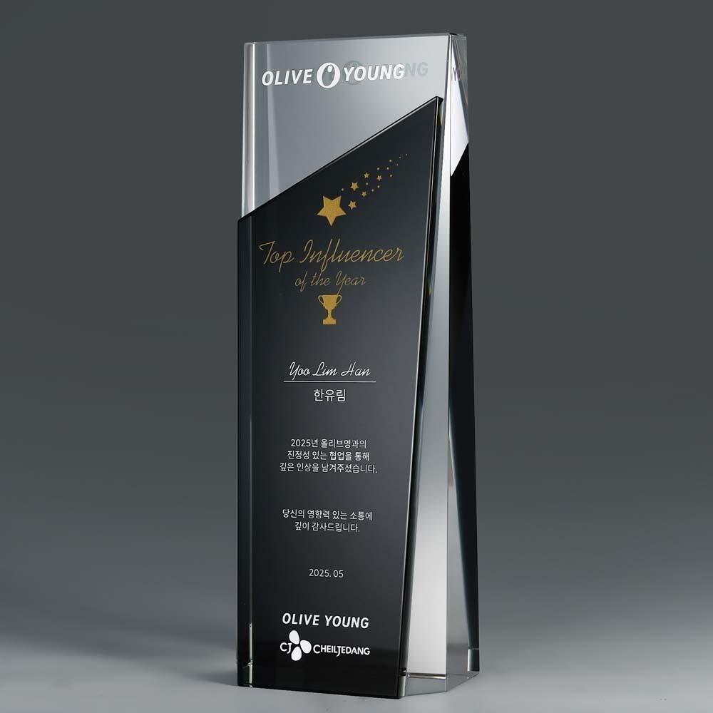 세련된 사선 컷과 고광택 투톤 마감이 돋보이는 트로피형 상패입니다. 공로패, 감사패, 재직기념패 모두에 어울리는 스타일입니다.