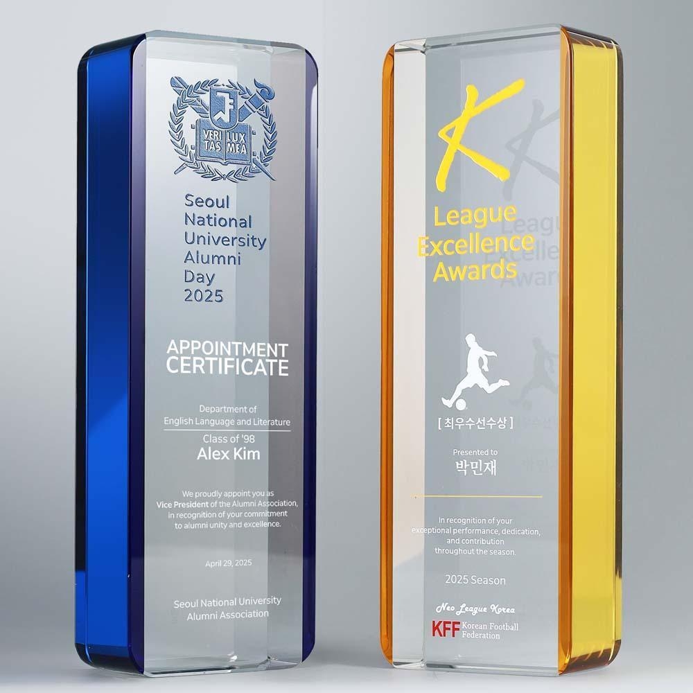 투명 크리스탈 중심에 컬러 띠 포인트가 조화를 이루는 수직형 상패. 트로피, 재직기념패, 감사패 모두에 어울리는 현대적인 디자인입니다.